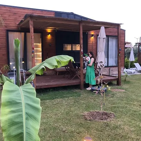 فيلة Lemon Tiny House *